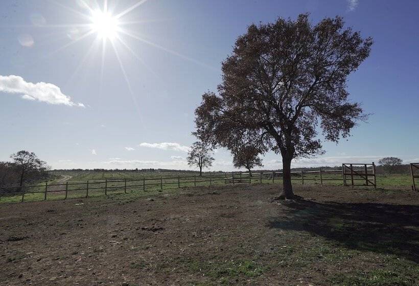 فندق ريفى Iazzo Annunziatella