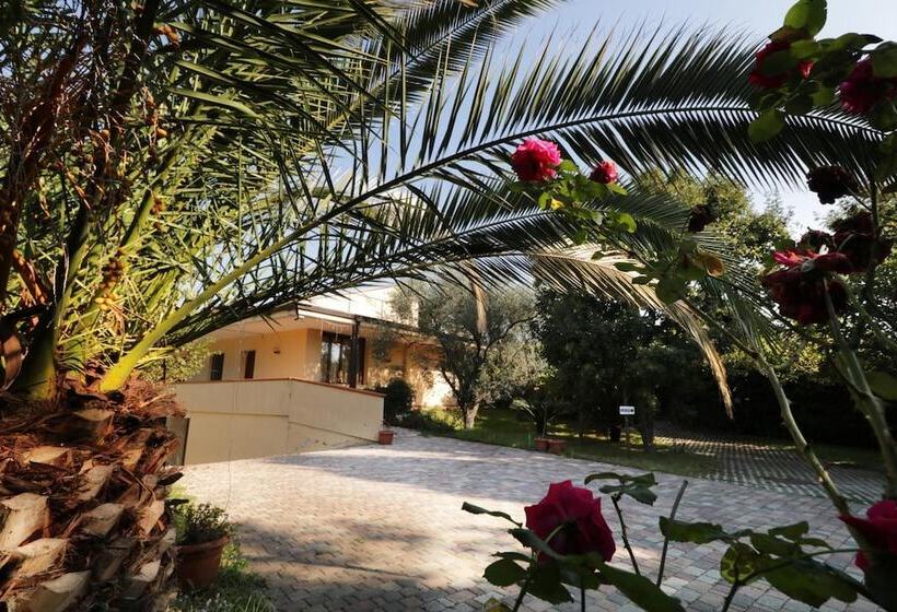 B&b D Avino