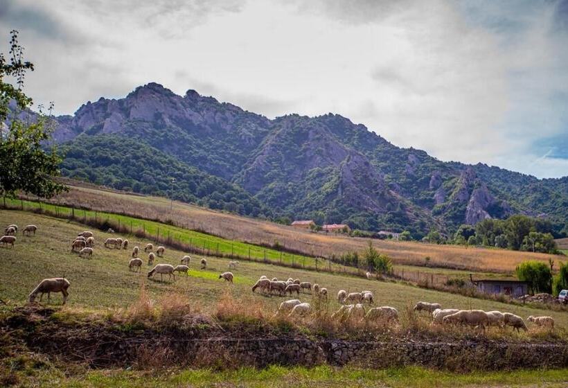 تختخواب و صبحانه Spazio Natura