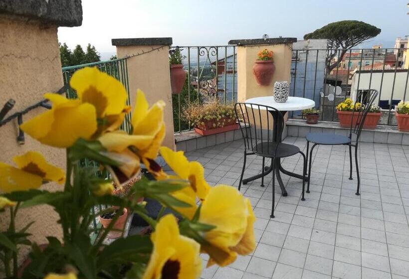 B&b Buonfiglio Cicconcelli Terrazza Panoramica