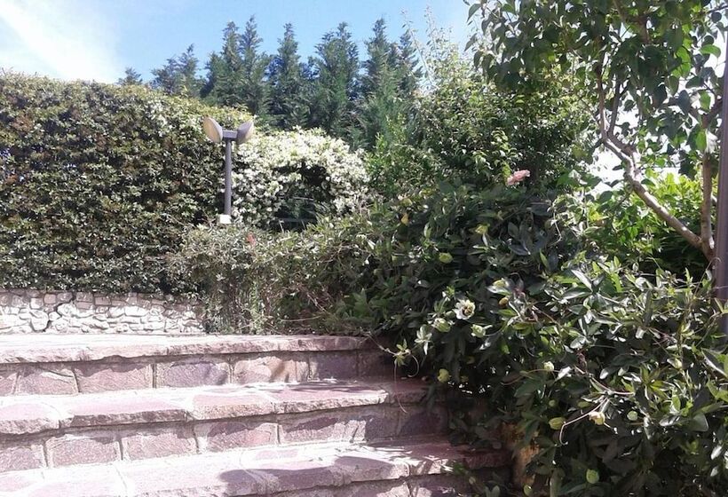 تختخواب و صبحانه I Gelsomini