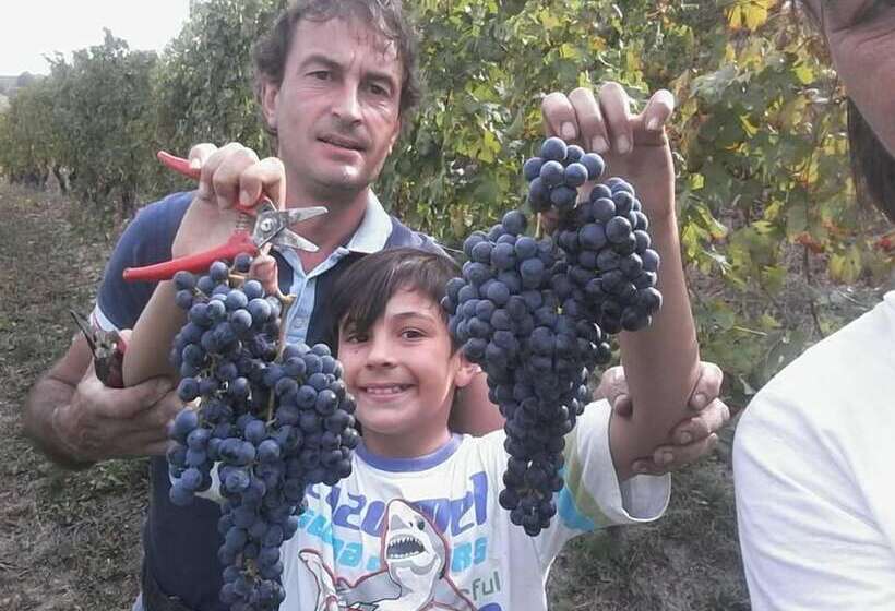 Отель Agriturismo Il Ciliegio