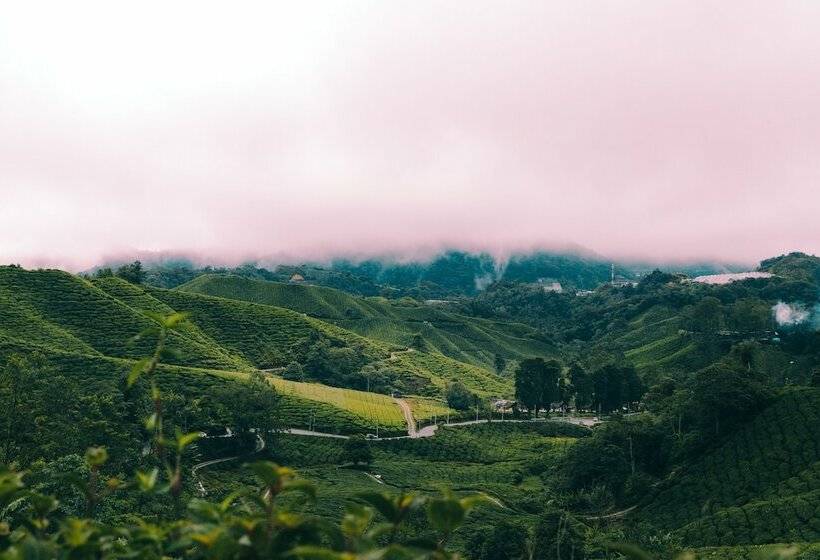 Hôtel Heritage  Cameron Highlands