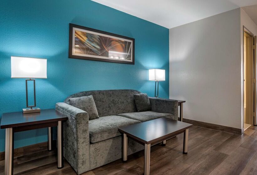 هتل Best Western Carlton Suites