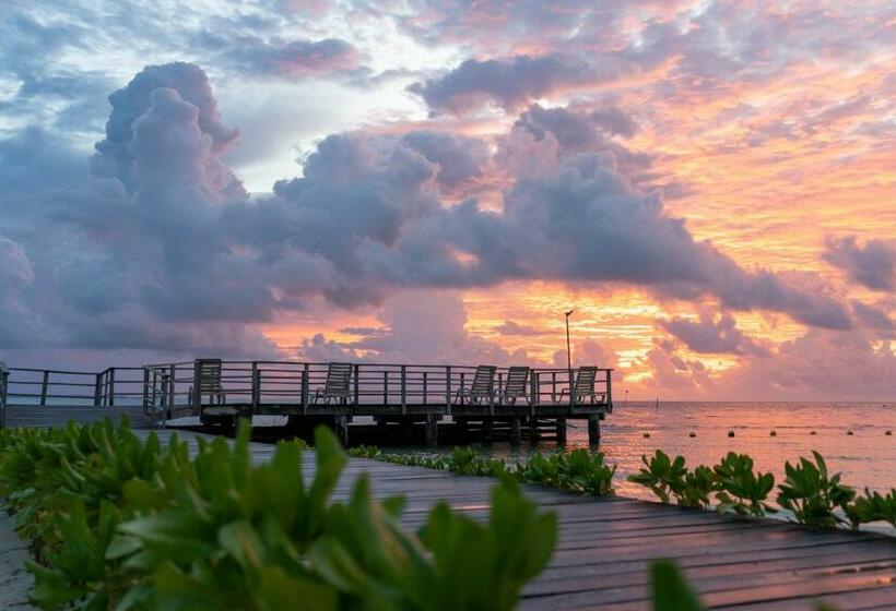هتل Cancun Bay All Inclusive