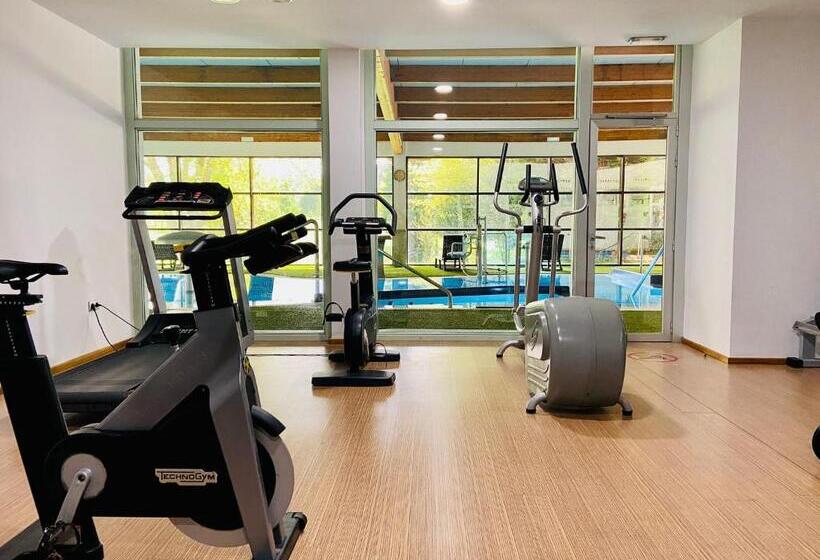 Fotos del hotel Oca Palacio De La Llorea  & Spa:  40