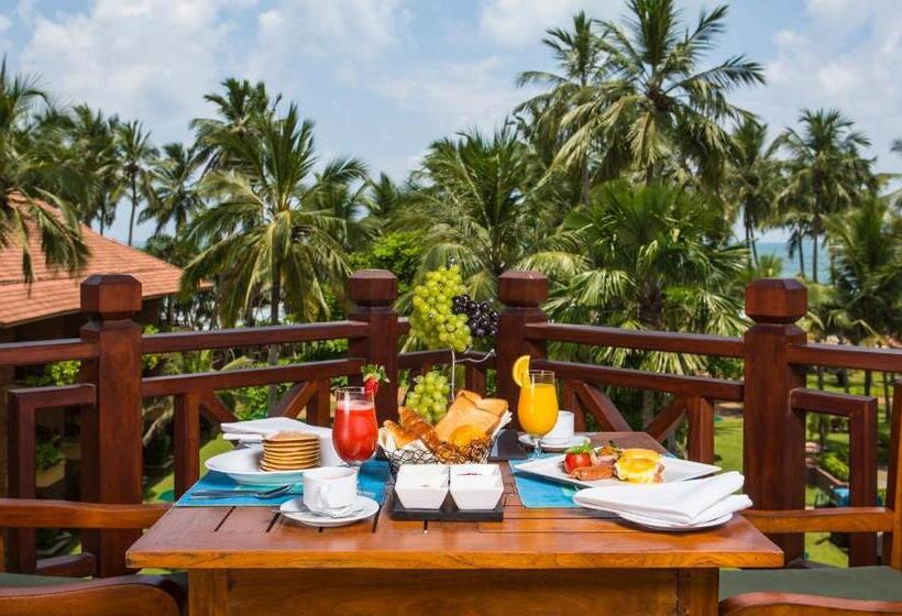هتل Royal Palms Beach