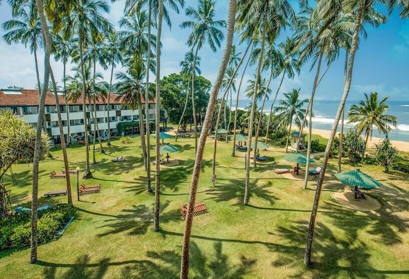 هتل Tangerine Beach