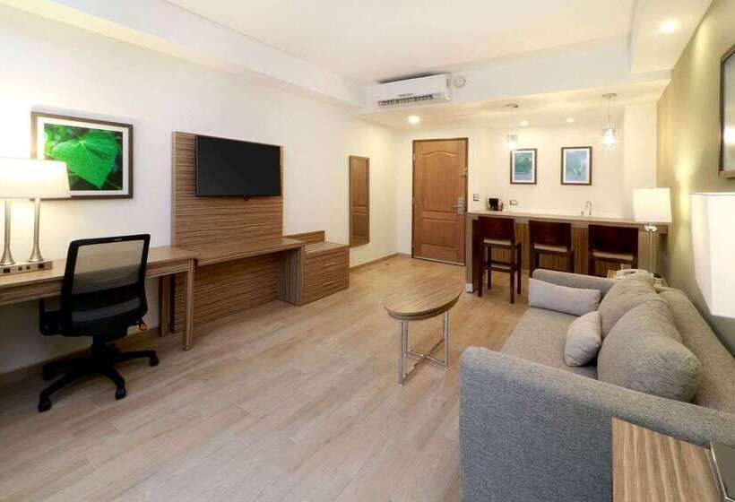 Fotos del hotel Wyndham Garden Monterrey Valle Real:  30