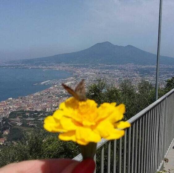 B&b Buona Stella