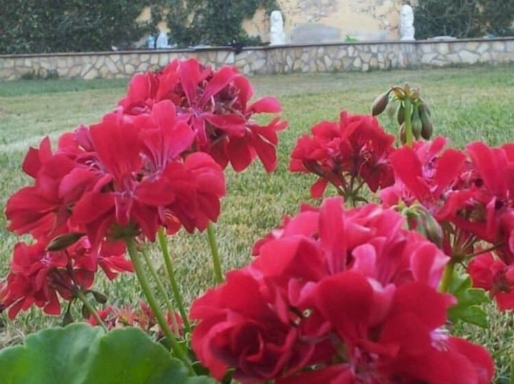 B&b Nonna Grazia