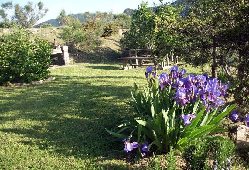 B&b Villa Taddea