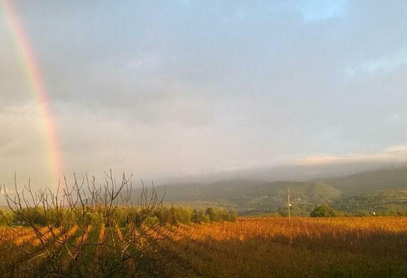 교외 호텔 Agriturismo Sovanella