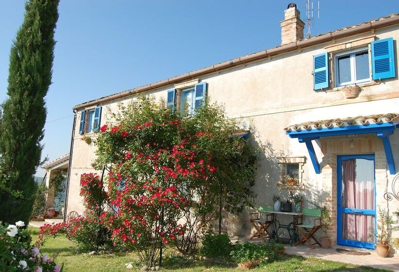 B&b Vento Di Rose