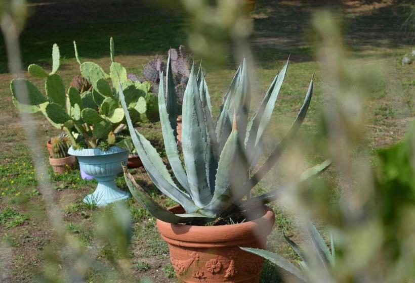 مبيت وإفطار Bed & Tours Dimora Di Campagna