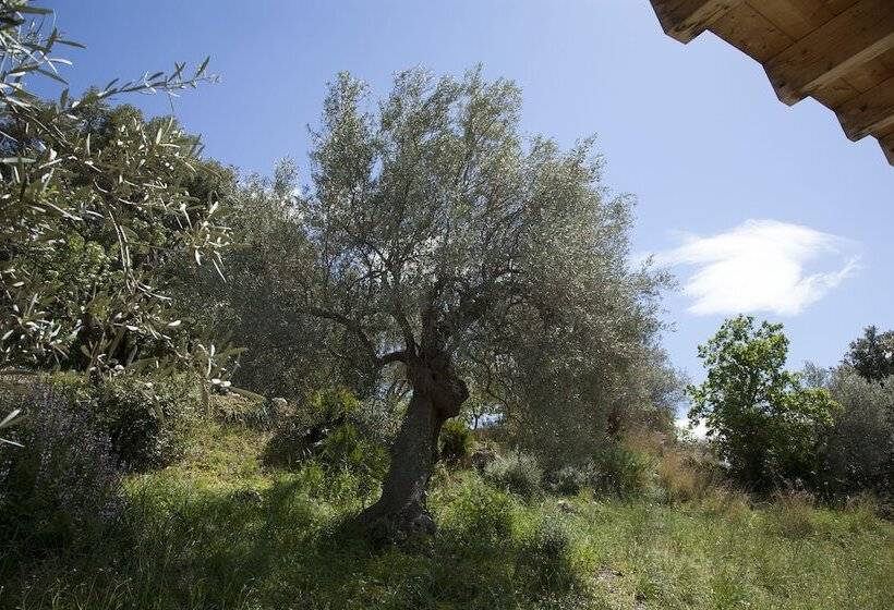 Hotel Camping Fiori Di Noto