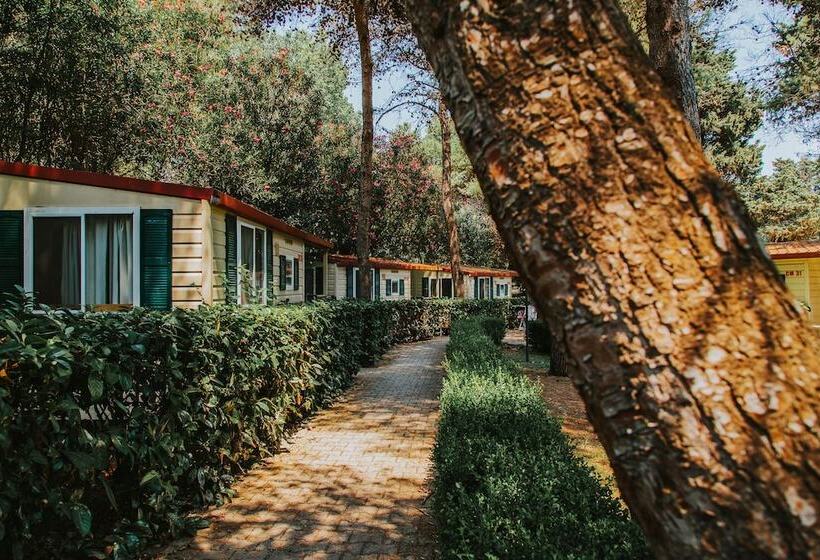 هتل Centro Vacanze Mulino D Acqua