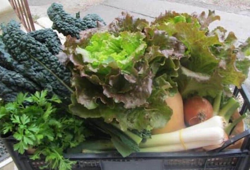 בית מלון כפרי Agriturismo Casa Piccini