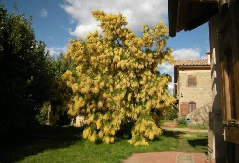 فندق ريفى Agriturismo Solidor