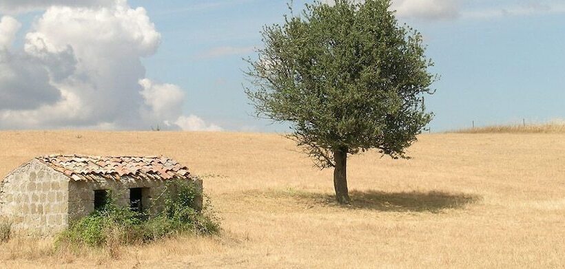 فندق ريفى Poggio Del Castagno