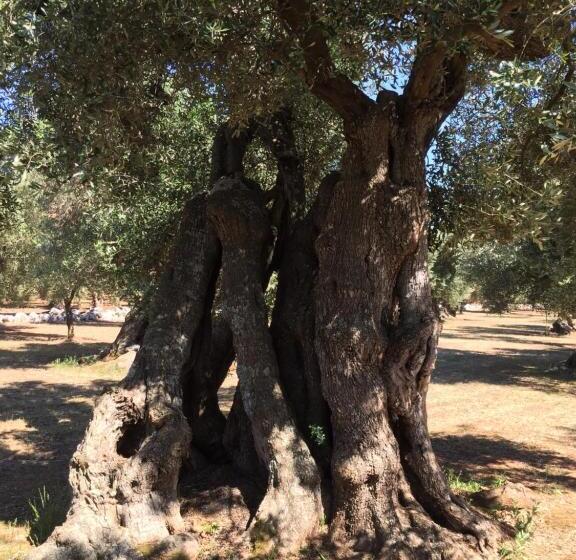 بنسيون Palazzo Vilei