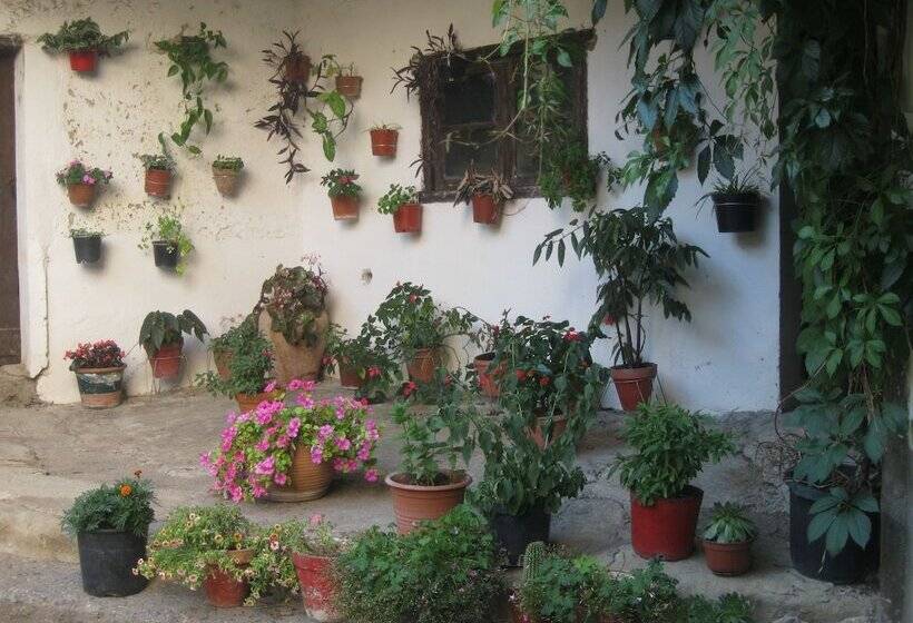 Pension Peperillo