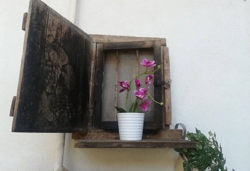 פנסיון Le Camere Di Aladino