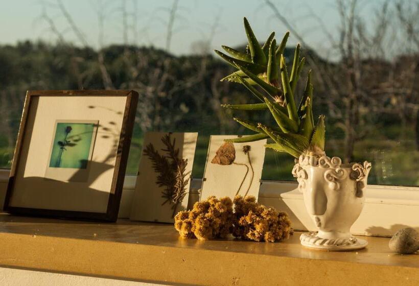 B&b Sosta A Ponente