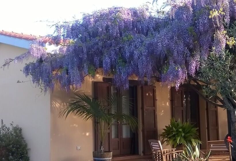 B&b Sa Ingia