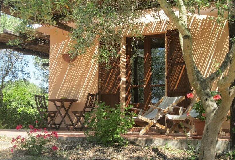 B&b Sa Ingia