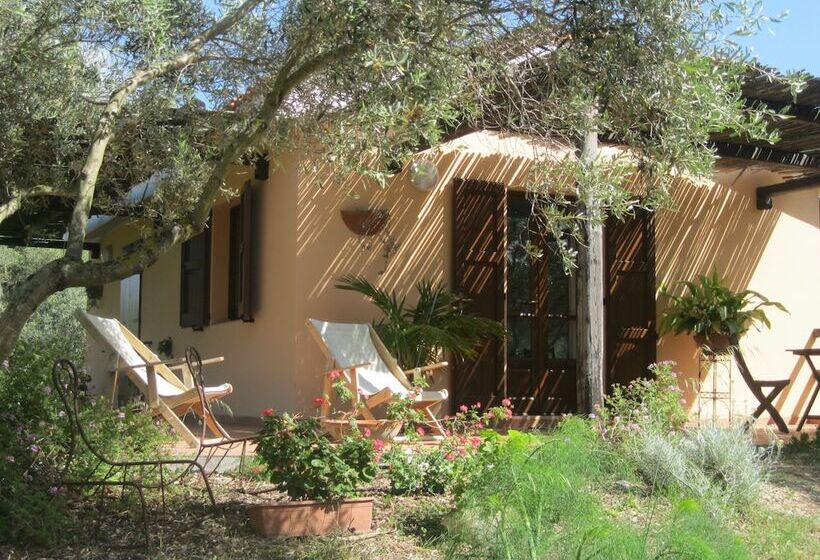 B&b Sa Ingia
