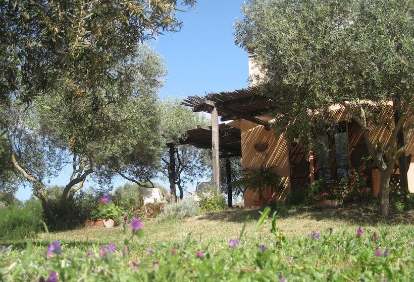 B&b Sa Ingia