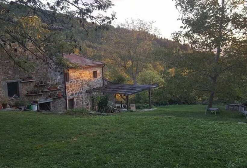 乡村酒店  Agriturismo Luca S House