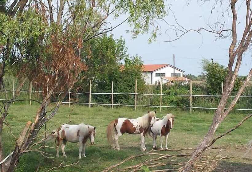 교외 호텔 Agriturismo Quadrifoglio Relax