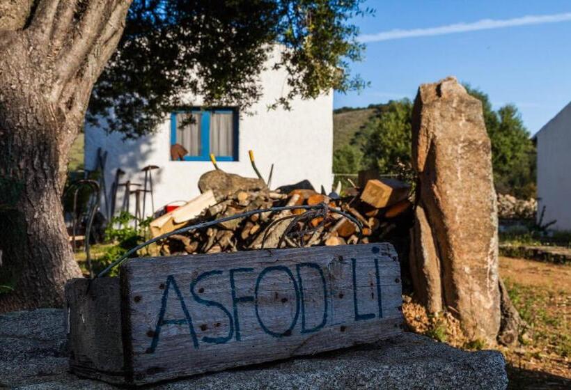 Bed and Breakfast The Old Farm Asfodeli  Adults Only