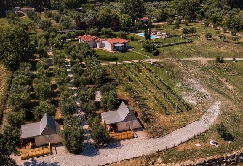 Сельский отель I Sicomori   Seme Di Carota   Glamping E Appartamenti Con Piscina A Saturnia