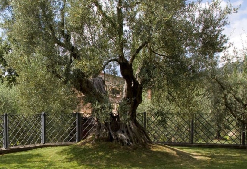 بنسيون Relais Gli Ulivi