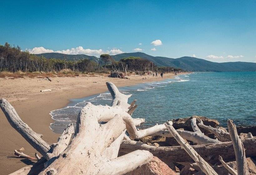 فندق ريفى Poggiolivi Agriturismo Bio In Maremma