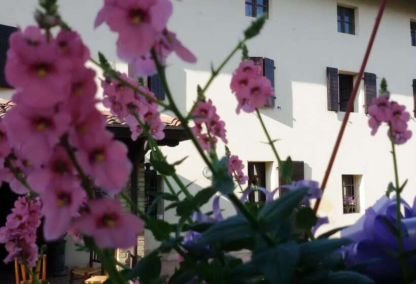 تختخواب و صبحانه Fiori Di Maggio