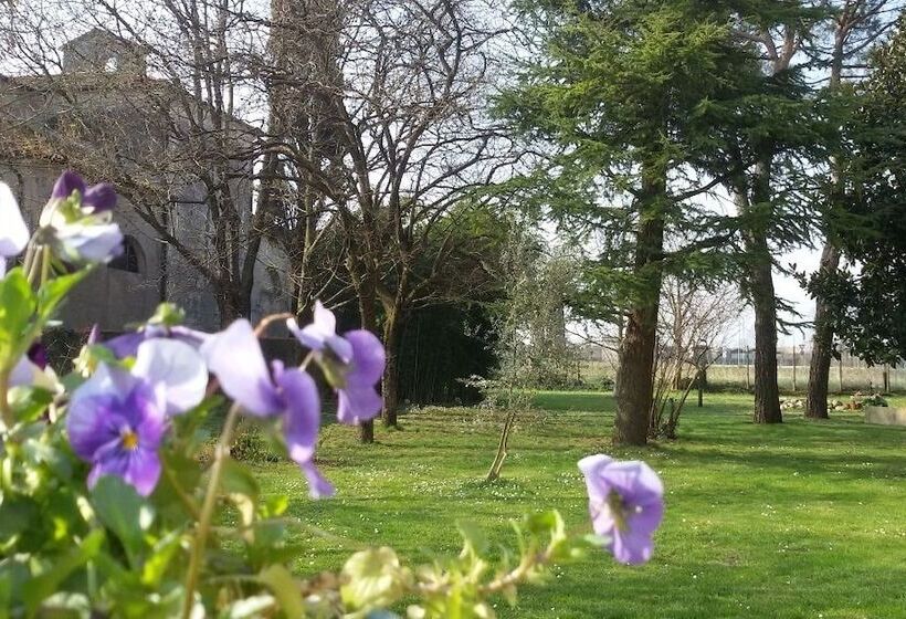 تختخواب و صبحانه Fiori Di Maggio