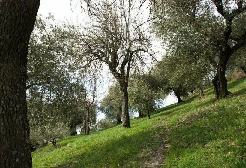교외 호텔 Agriturismo Le Francesche