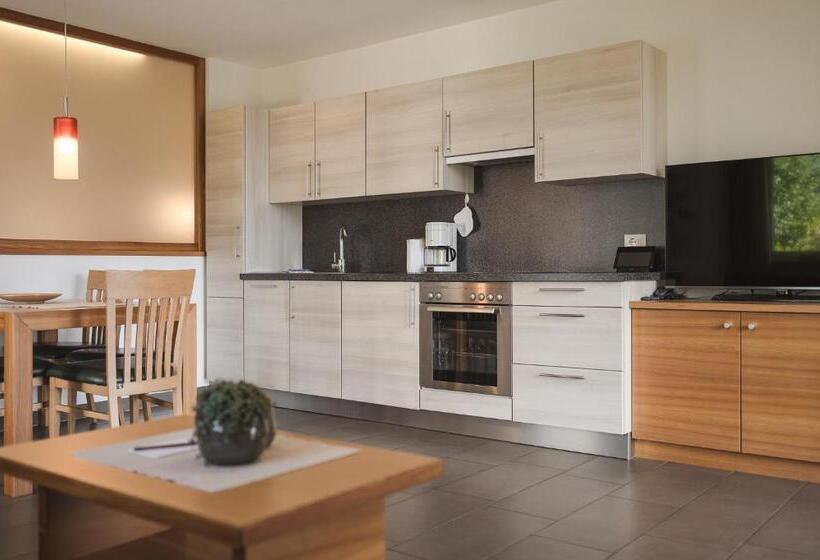 酒店 Appartements Schmied Hans