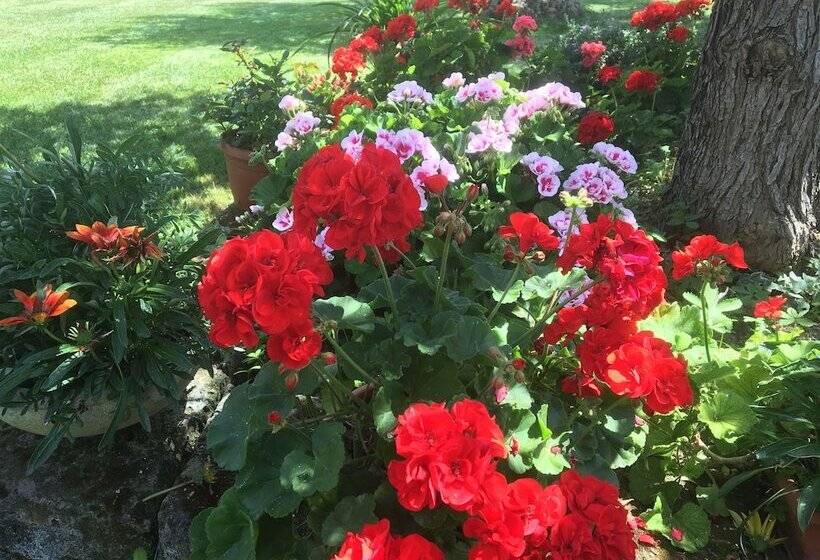 استراحتگاه Il Girasole Country Village