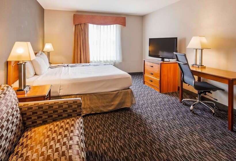 Hotel Best Western Inn & Suites  Midway Airport