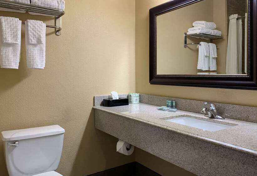 هتل Comfort Inn Saint Paul East