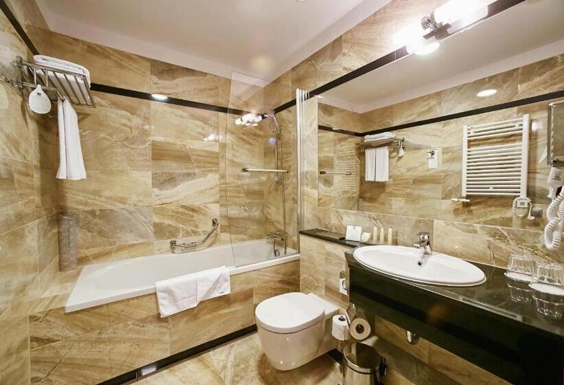 Fotos del hotel Holiday Inn Krakow City Centre, An Ihg:  27
