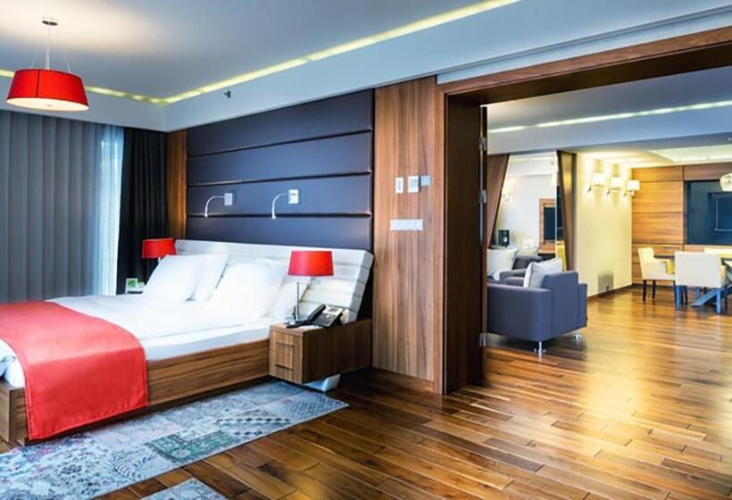 فندق Holiday Inn Krakow City Centre