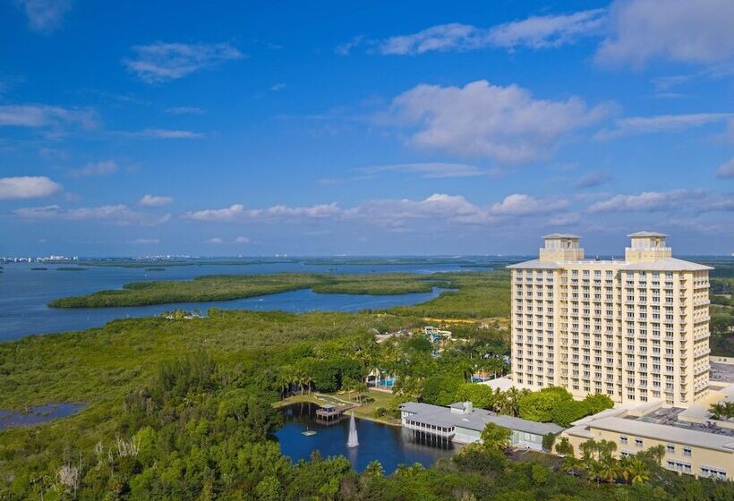 فندق Hyatt Regency Coconut Point Resort & Spa Near Naples