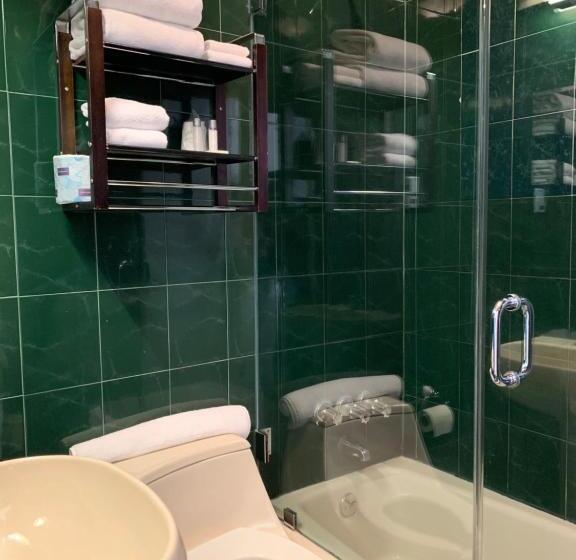 Fotos del hotel Midtown West:  34