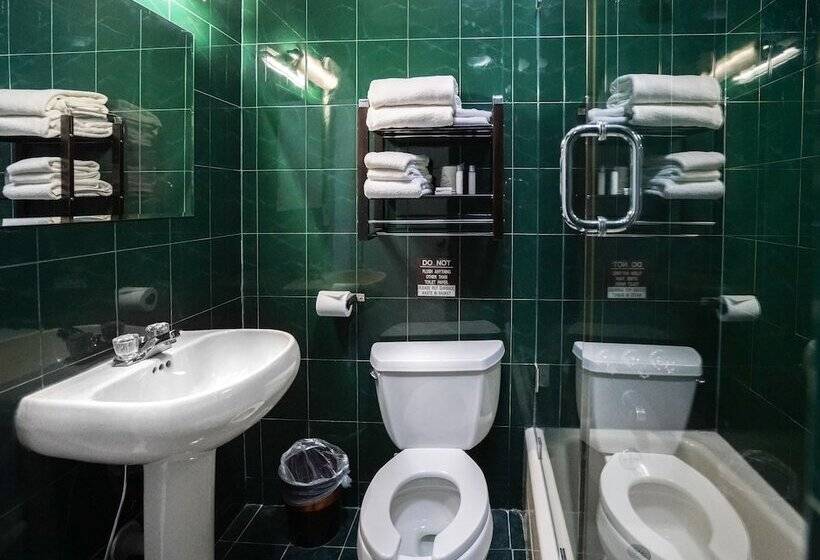 Fotos del hotel Midtown West:  49